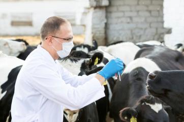 Производители ветпрепаратов ожидают дополнительной господдержки